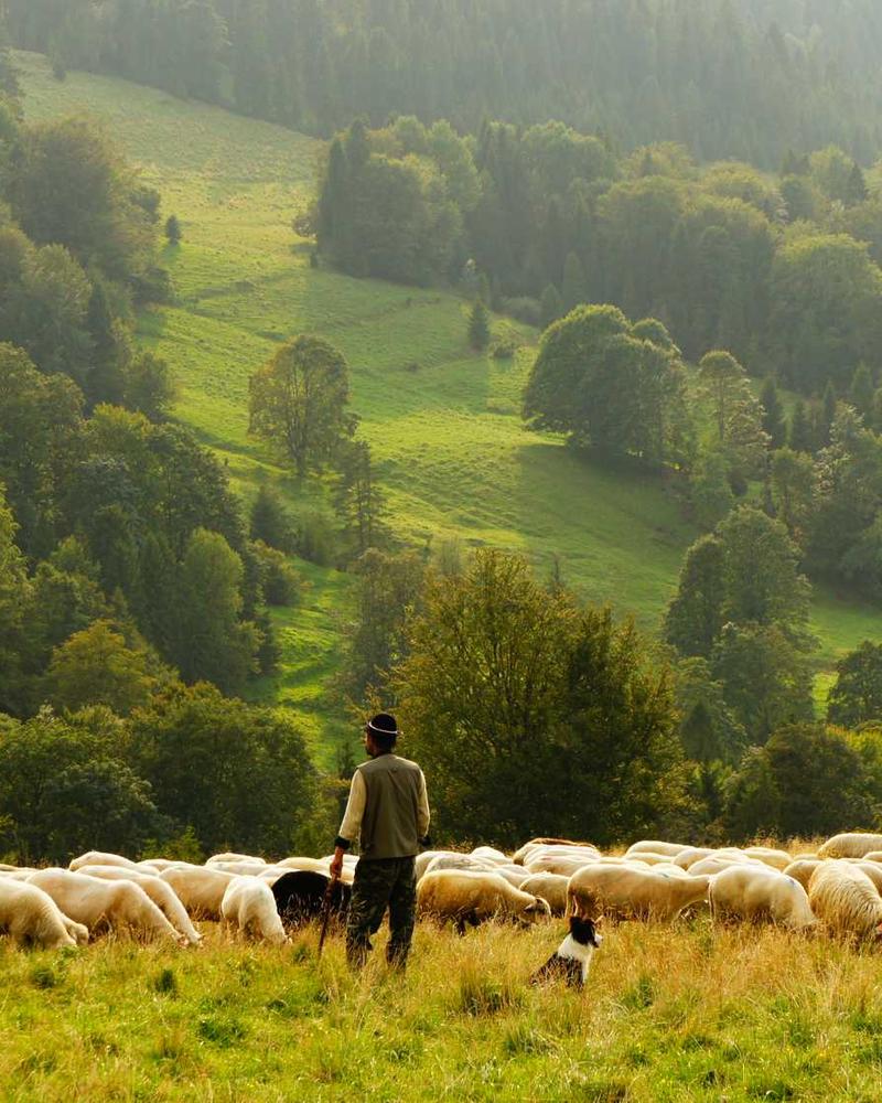 Marble effect anniversary cake with gold details