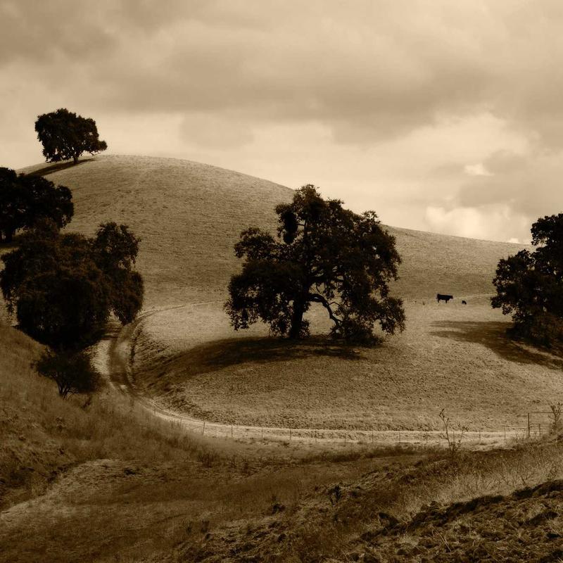 Marble Elegance Anniversary