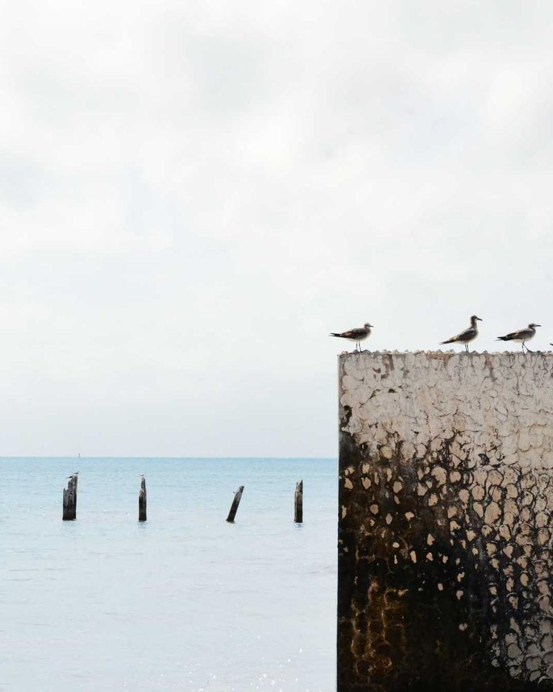 Unicorn birthday cake with pastel swirls